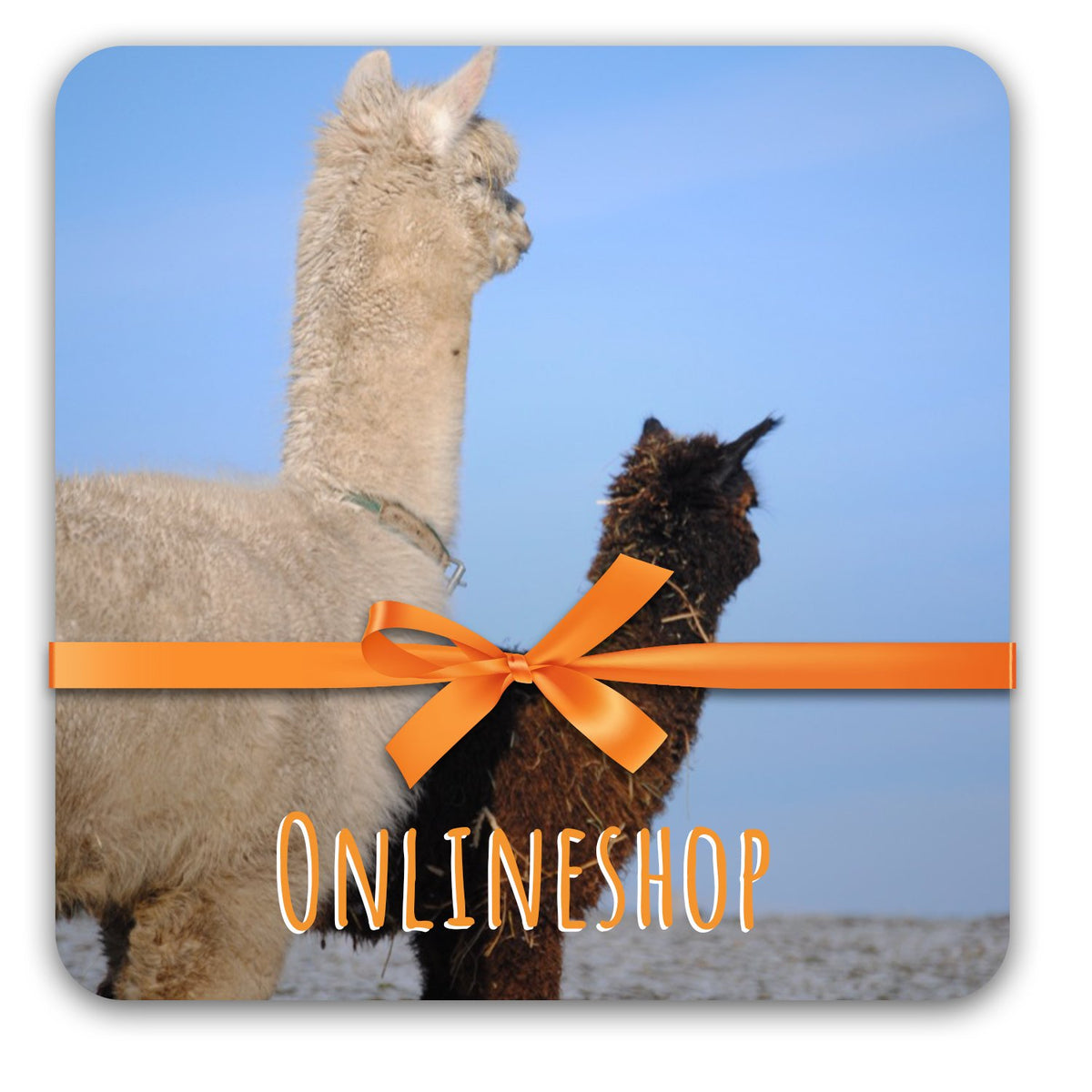 Online Shop Geschenk Gutschein